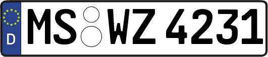 MS-WZ4231