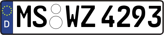 MS-WZ4293
