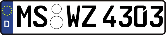 MS-WZ4303