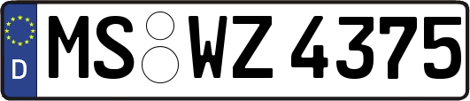 MS-WZ4375