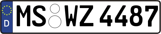 MS-WZ4487