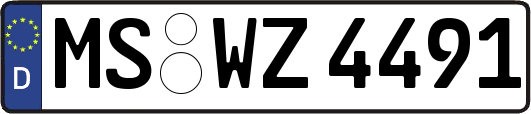MS-WZ4491