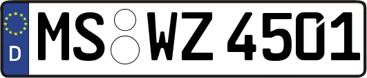 MS-WZ4501