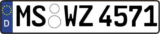 MS-WZ4571
