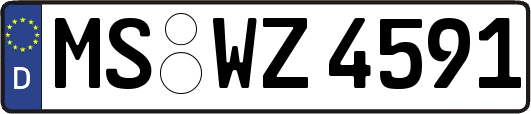 MS-WZ4591