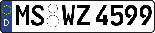 MS-WZ4599
