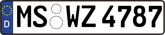 MS-WZ4787