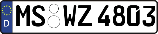 MS-WZ4803