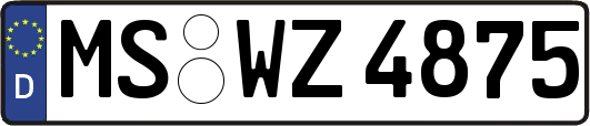 MS-WZ4875