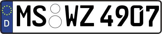 MS-WZ4907