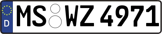 MS-WZ4971