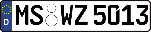 MS-WZ5013