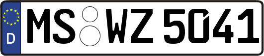 MS-WZ5041