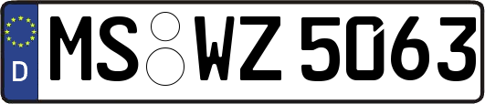 MS-WZ5063