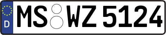 MS-WZ5124