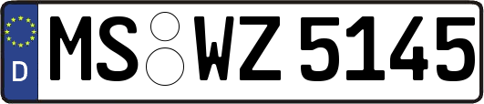 MS-WZ5145