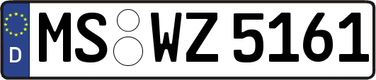 MS-WZ5161