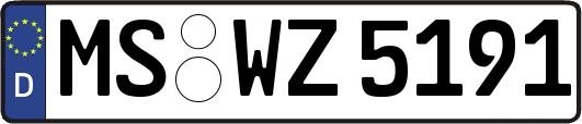 MS-WZ5191