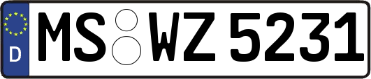MS-WZ5231