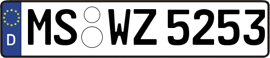 MS-WZ5253