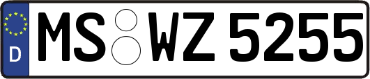 MS-WZ5255