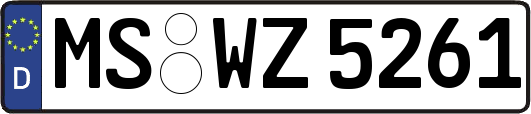 MS-WZ5261