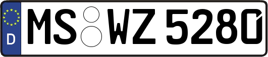 MS-WZ5280
