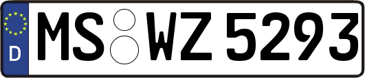 MS-WZ5293