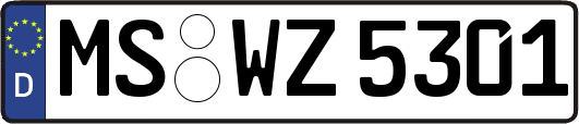 MS-WZ5301