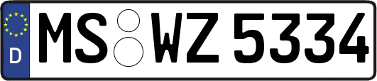 MS-WZ5334