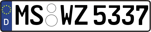 MS-WZ5337
