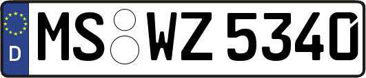 MS-WZ5340