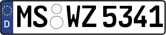 MS-WZ5341