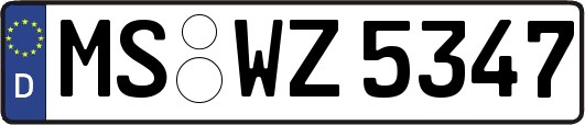 MS-WZ5347
