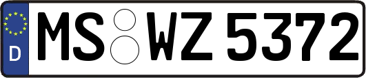 MS-WZ5372