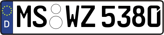 MS-WZ5380