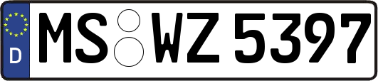 MS-WZ5397