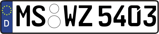 MS-WZ5403
