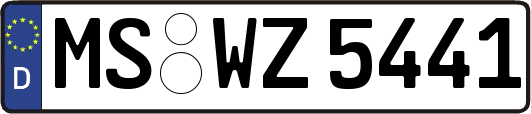 MS-WZ5441