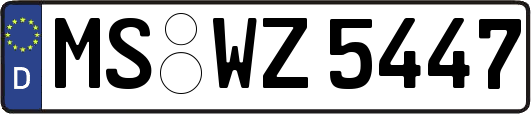 MS-WZ5447