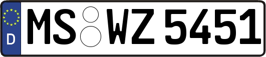 MS-WZ5451