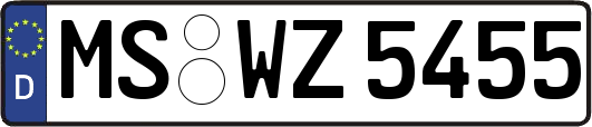 MS-WZ5455