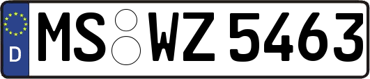 MS-WZ5463