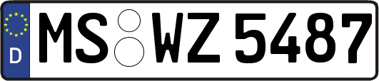 MS-WZ5487
