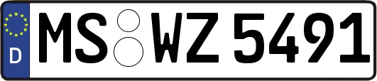 MS-WZ5491