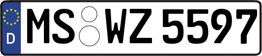 MS-WZ5597