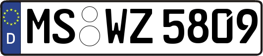 MS-WZ5809