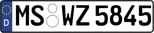 MS-WZ5845