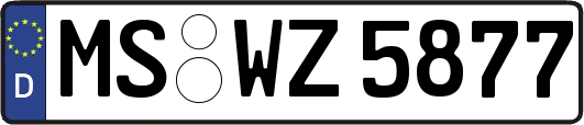MS-WZ5877