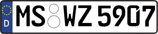 MS-WZ5907